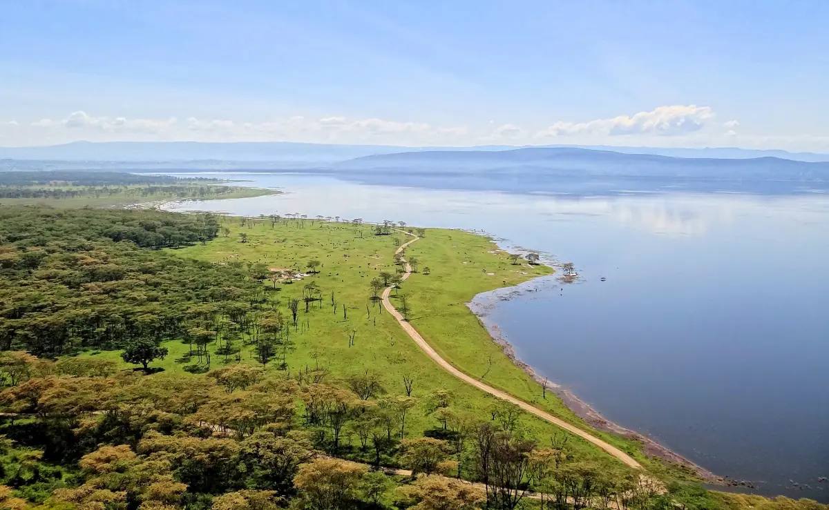 View from Baboon Cliff over green woodland and the lake
