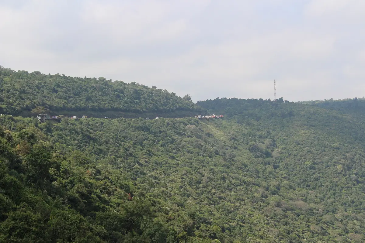Forested escarpment of the Great Rift Valley under a pale sky