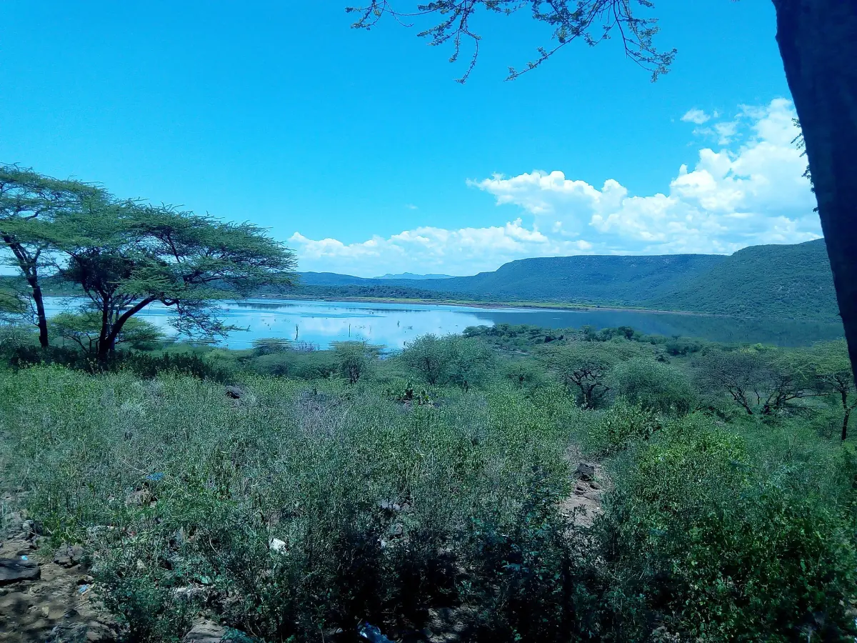Blue Lake Bogoria seen from a bushy hillside under clear sky