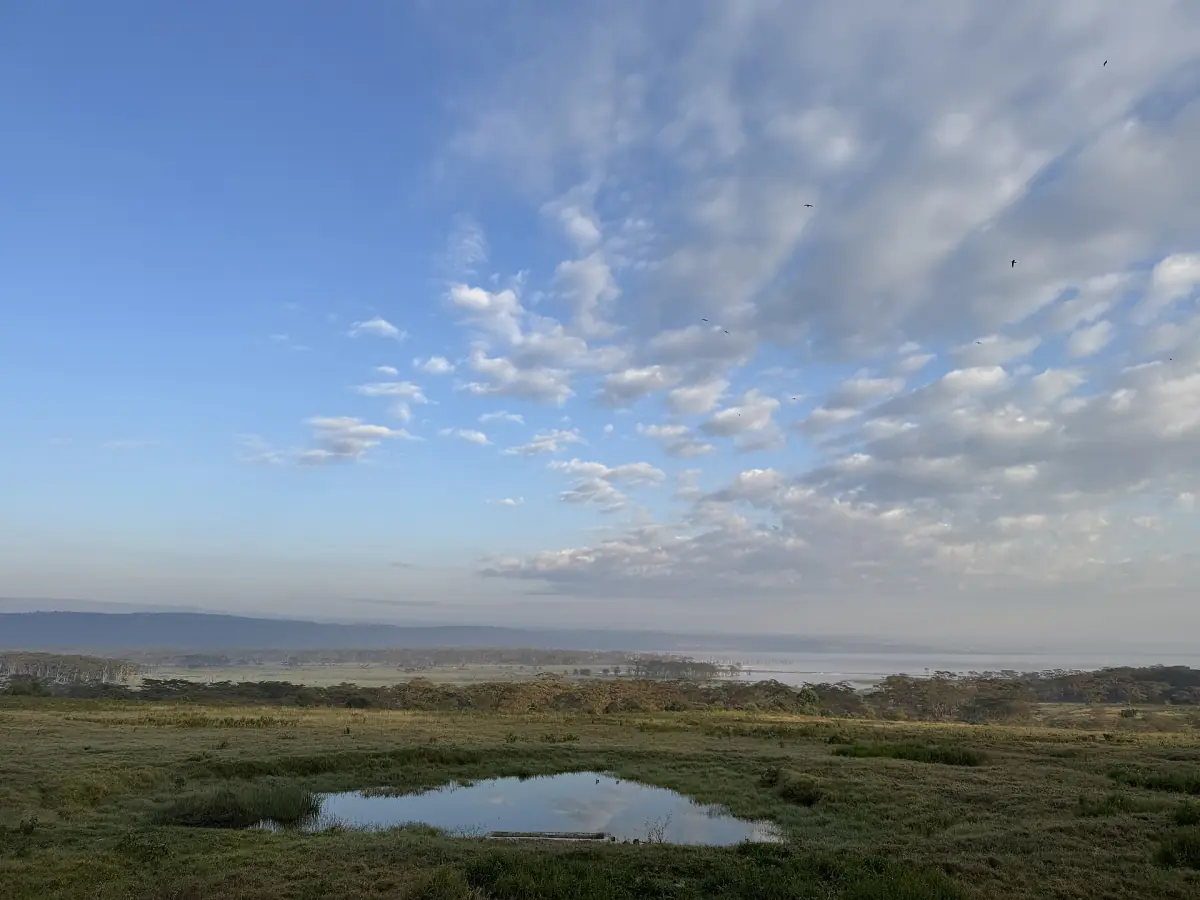 Wetland pool and lake under a cloudy morning sky