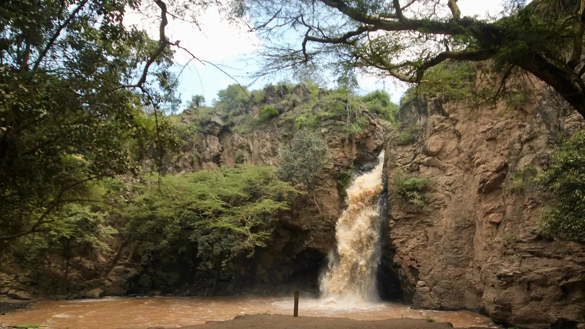 Waterfall framed by trees above a muddy pool in the park
